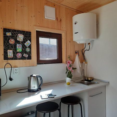 Вилла Tiny House Kazbegi Экстерьер фото