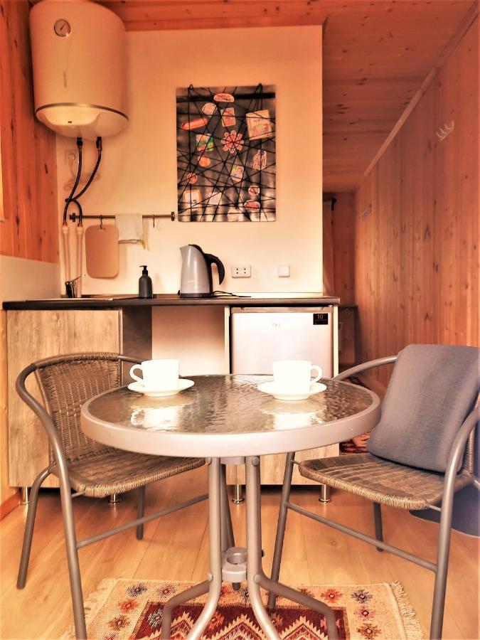 Вилла Tiny House Kazbegi Экстерьер фото